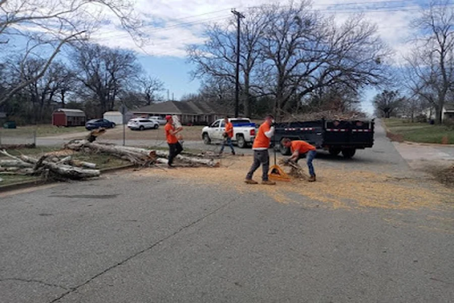 Tree Company Tree Company