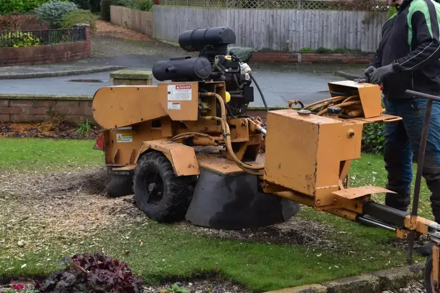 Can Stump Grinding Help With Yard Drainage Issues Denison, TX Can Stump Grinding Help With Yard Drainage Issues Denison, TX
