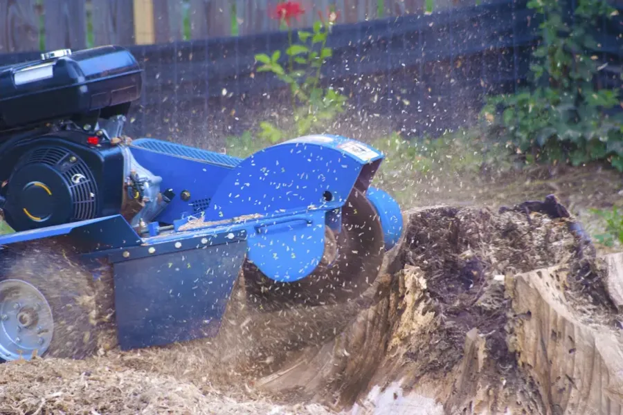 Excellent Stump Grinding Denison, TX Excellent Stump Grinding Denison, TX