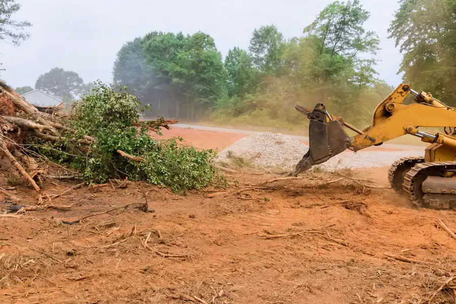Experienced Land Clearing Denison, TX Experienced Land Clearing Denison, TX