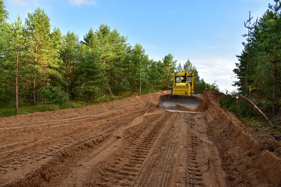 Land Clearing Tips For Creating A Better Landscape Design in Denison, TX Land Clearing Tips For Creating A Better Landscape Design in Denison, TX