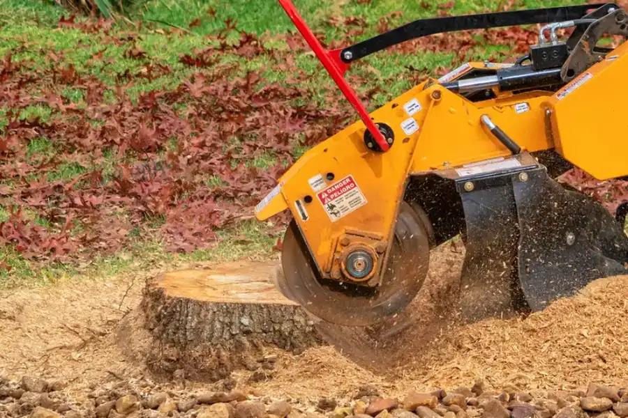 Local Stump Grinding Denison, TX Local Stump Grinding Denison, TX