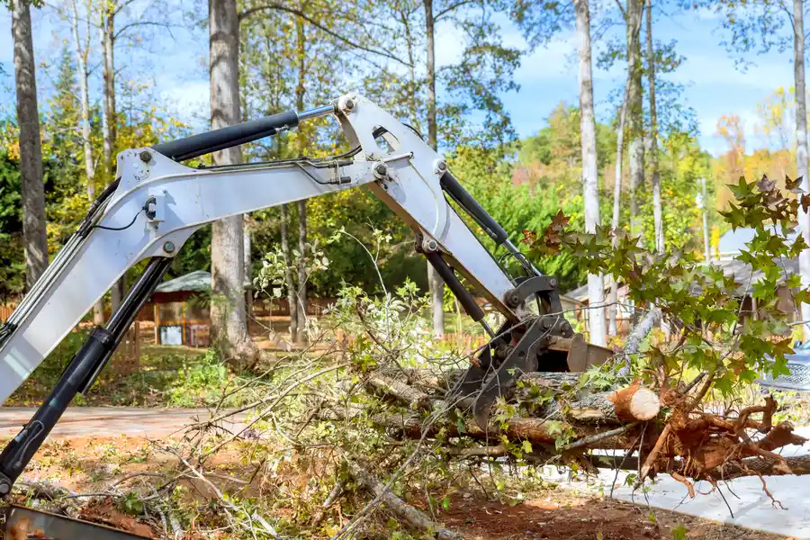 Reliable Land Clearing Denison, TX Reliable Land Clearing Denison, TX