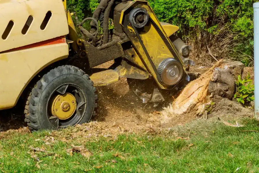 The Safety Benefits Of Professional Stump Grinding Services Denison, TX The Safety Benefits Of Professional Stump Grinding Services Denison, TX