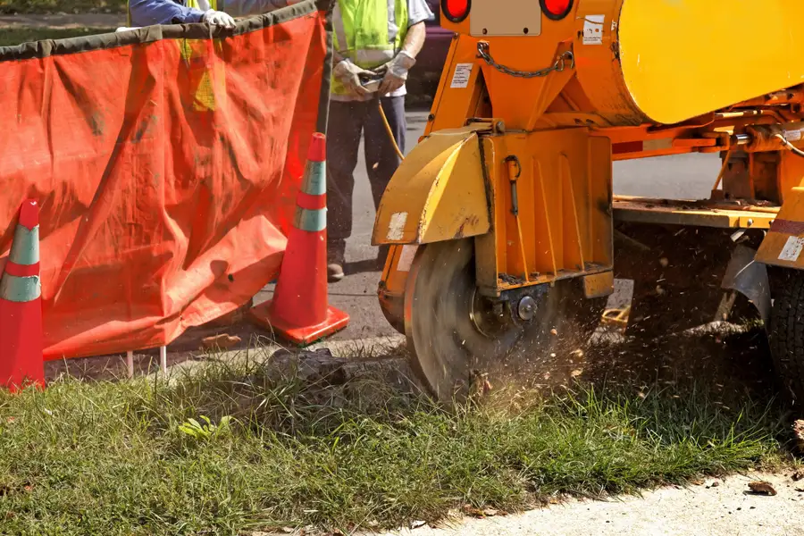 Top-rated Stump Grinding Denison, TX Top-rated Stump Grinding Denison, TX