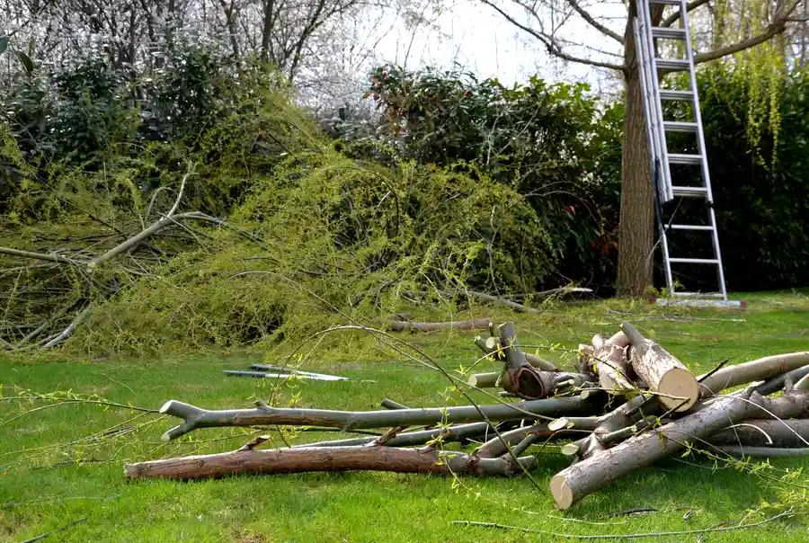Why Land Clearing Is Essential For Your Property Development in Denison, TX Why Land Clearing Is Essential For Your Property Development in Denison, TX